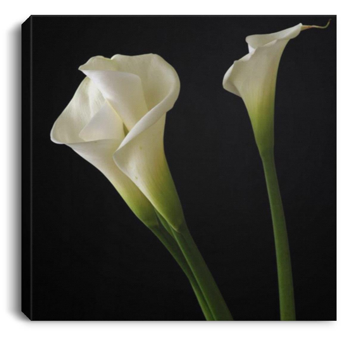 Flowers CANSQ75 Square Canvas .75in Frame